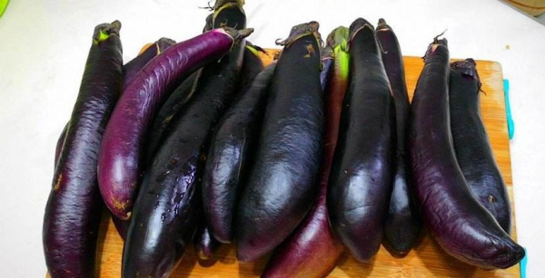 eggplant什么意思