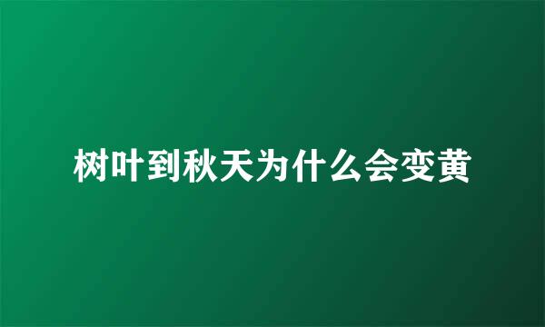 树叶到秋天为什么会变黄