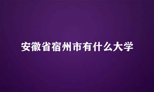 安徽省宿州市有什么大学