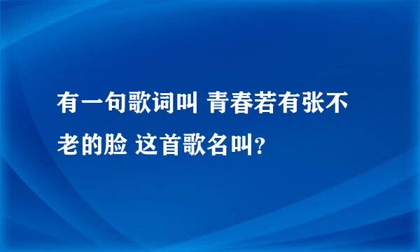 有一句歌词叫 青春若有张不老的脸 这首歌名叫？