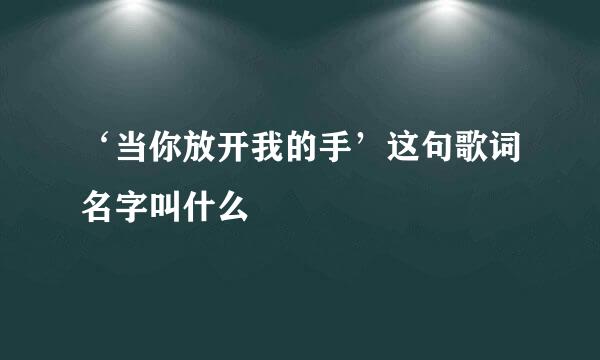 ‘当你放开我的手’这句歌词名字叫什么