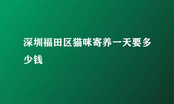 深圳福田区猫咪寄养一天要多少钱