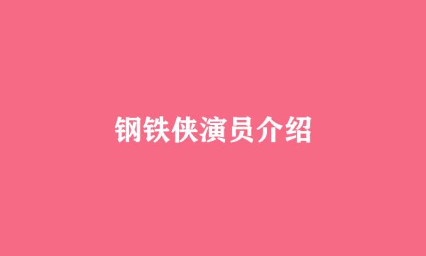 钢铁侠演员介绍