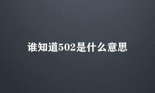 谁知道502是什么意思