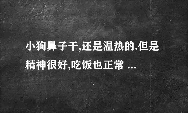 小狗鼻子干,还是温热的.但是精神很好,吃饭也正常 是怎么回事？