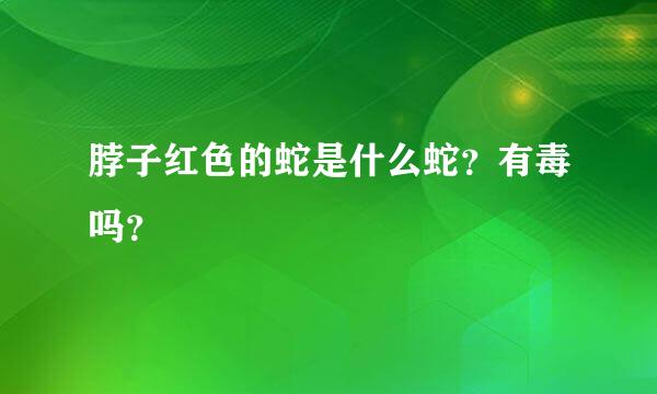 脖子红色的蛇是什么蛇？有毒吗？