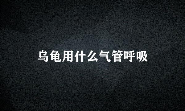 乌龟用什么气管呼吸