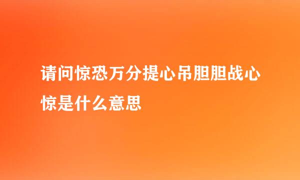 请问惊恐万分提心吊胆胆战心惊是什么意思