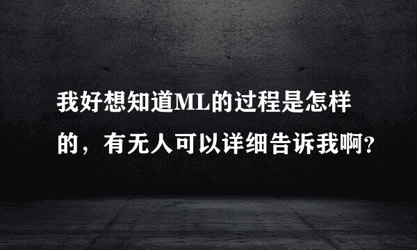 我好想知道ML的过程是怎样的，有无人可以详细告诉我啊？