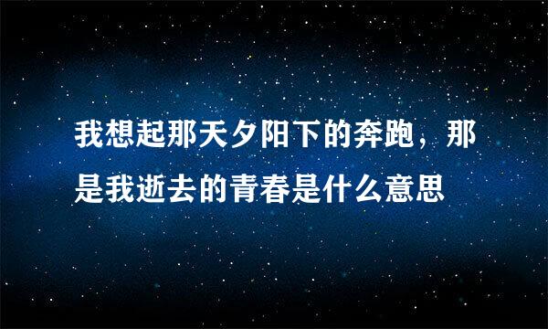 我想起那天夕阳下的奔跑，那是我逝去的青春是什么意思