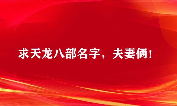 求天龙八部名字，夫妻俩！