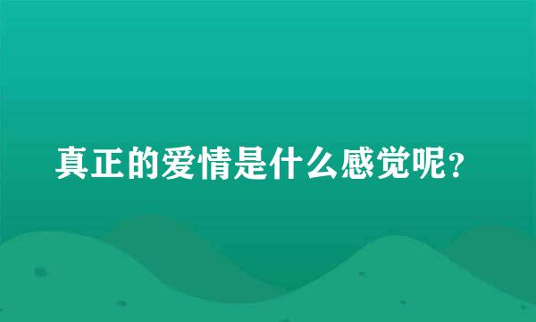 真正的爱情是什么感觉呢？