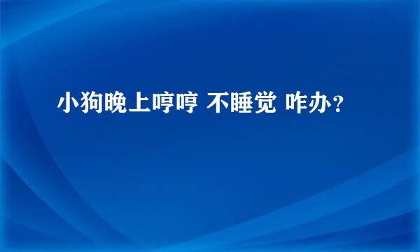 小狗晚上哼哼 不睡觉 咋办？