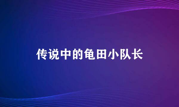 传说中的龟田小队长