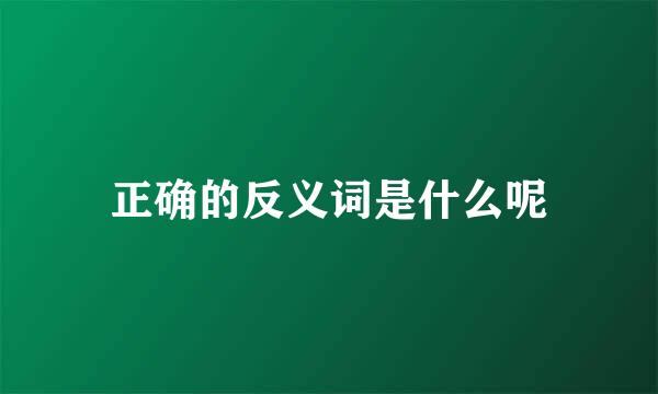 正确的反义词是什么呢