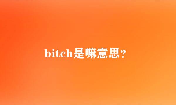 bitch是嘛意思？