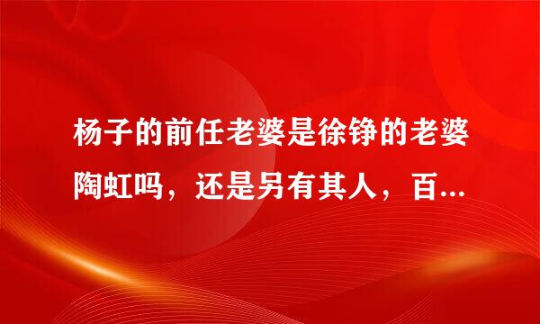 杨子的前任老婆是徐铮的老婆陶虹吗，还是另有其人，百度怎么关系链接的啊，我没看错吧？