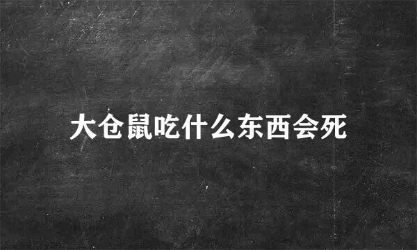 大仓鼠吃什么东西会死