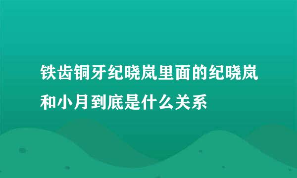 铁齿铜牙纪晓岚里面的纪晓岚和小月到底是什么关系