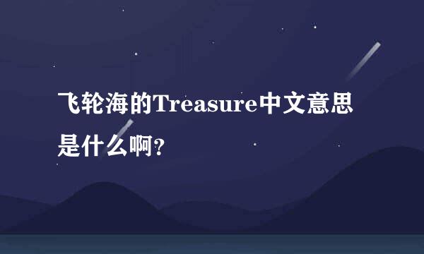 飞轮海的Treasure中文意思是什么啊？