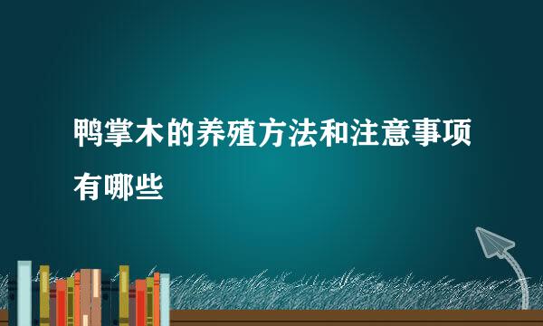 鸭掌木的养殖方法和注意事项有哪些