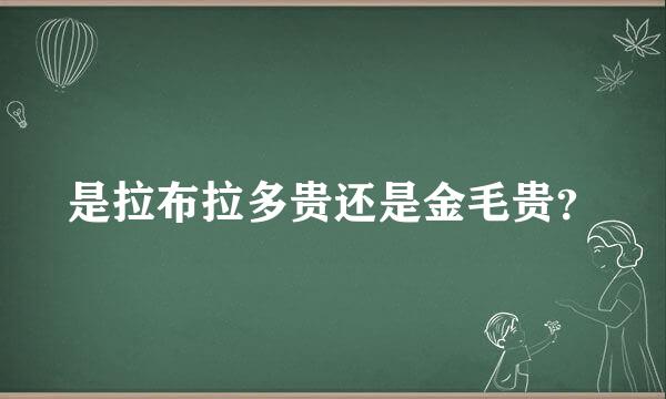 是拉布拉多贵还是金毛贵？