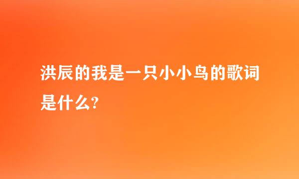 洪辰的我是一只小小鸟的歌词是什么?