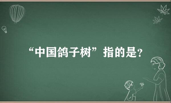 “中国鸽子树”指的是？