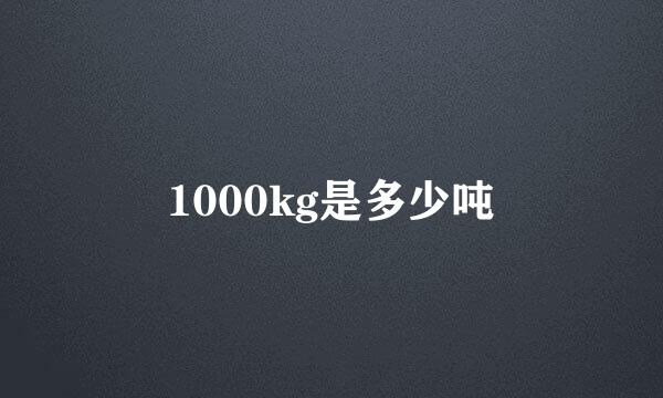 1000kg是多少吨