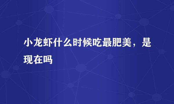 小龙虾什么时候吃最肥美，是现在吗