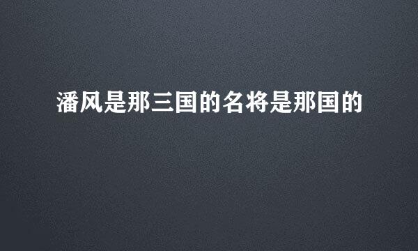 潘风是那三国的名将是那国的