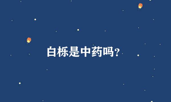 白栎是中药吗？