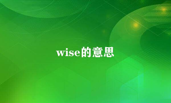 wise的意思