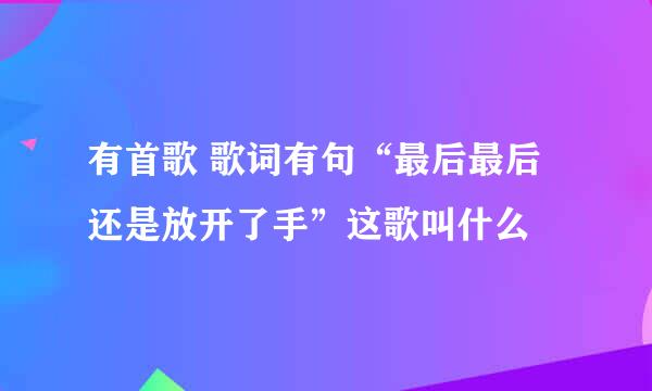 有首歌 歌词有句“最后最后还是放开了手”这歌叫什么