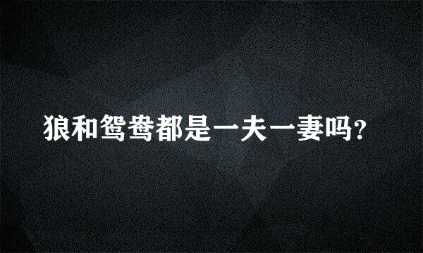 狼和鸳鸯都是一夫一妻吗？