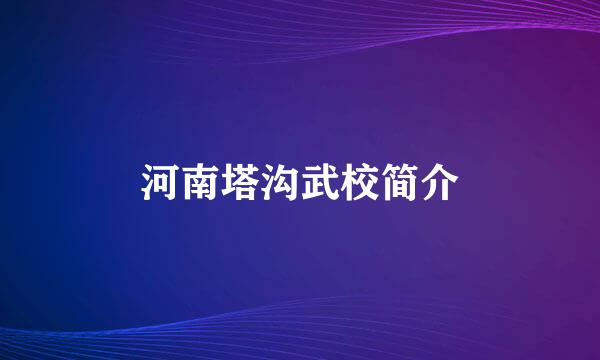 河南塔沟武校简介