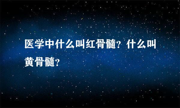 医学中什么叫红骨髓？什么叫黄骨髓？