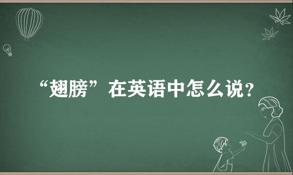 “翅膀”在英语中怎么说？