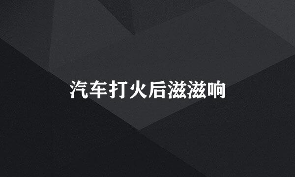 汽车打火后滋滋响