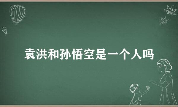 袁洪和孙悟空是一个人吗