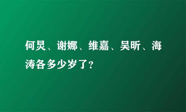 何炅、谢娜、维嘉、吴昕、海涛各多少岁了？