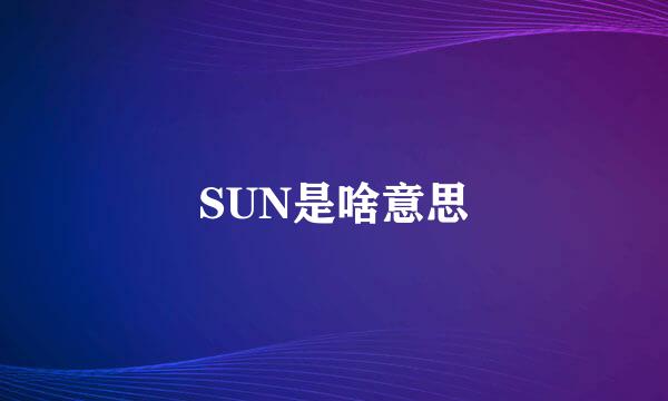 SUN是啥意思