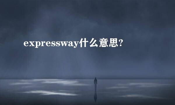 expressway什么意思?