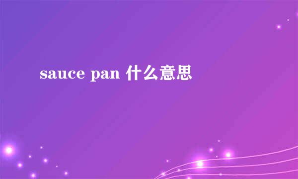 sauce pan 什么意思