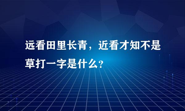 远看田里长青，近看才知不是草打一字是什么？