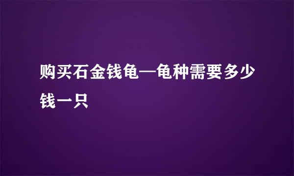 购买石金钱龟—龟种需要多少钱一只