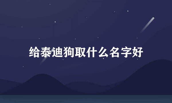 给泰迪狗取什么名字好