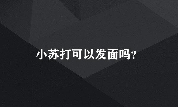 小苏打可以发面吗？