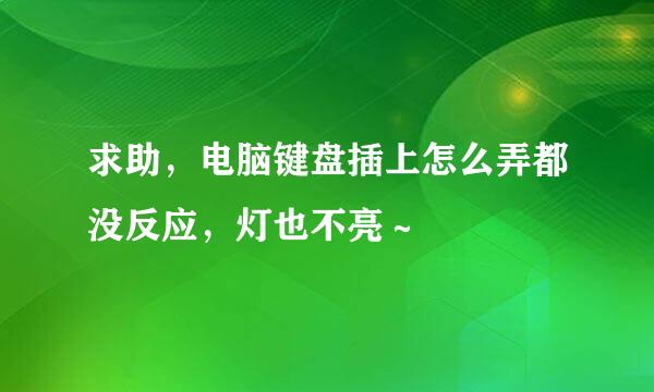 求助，电脑键盘插上怎么弄都没反应，灯也不亮～