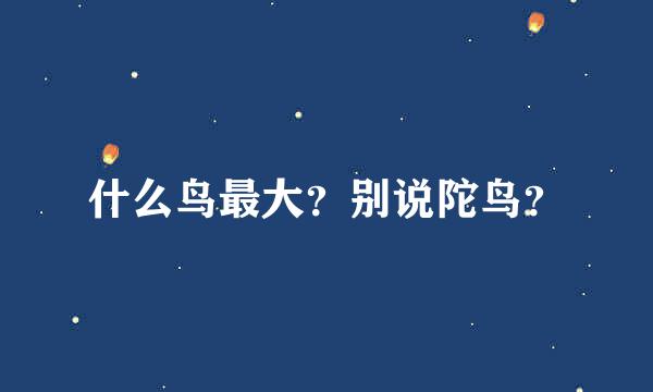 什么鸟最大？别说陀鸟？